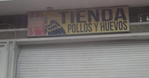 TIENDA POLLOS Y HUEVOS TIENDA POLLOS Y HUEVOS